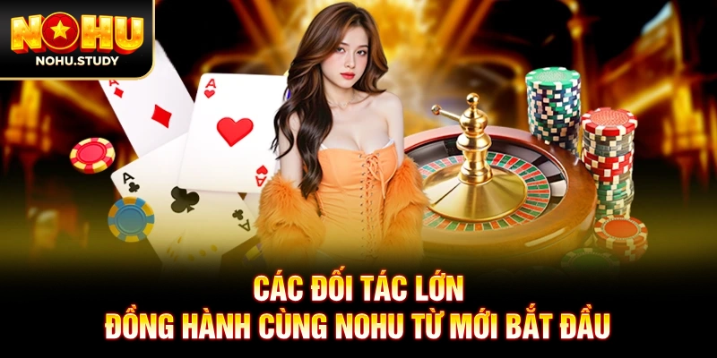Các đối tác lớn đồng hành cùng NOHU từ mới bắt đầu