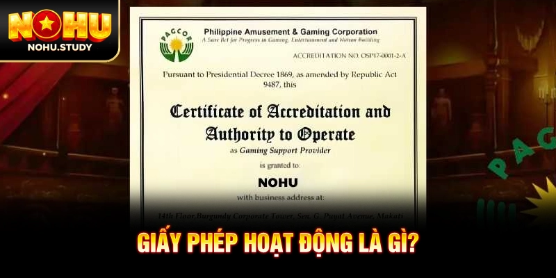 Giấy phép hoạt động là gì?